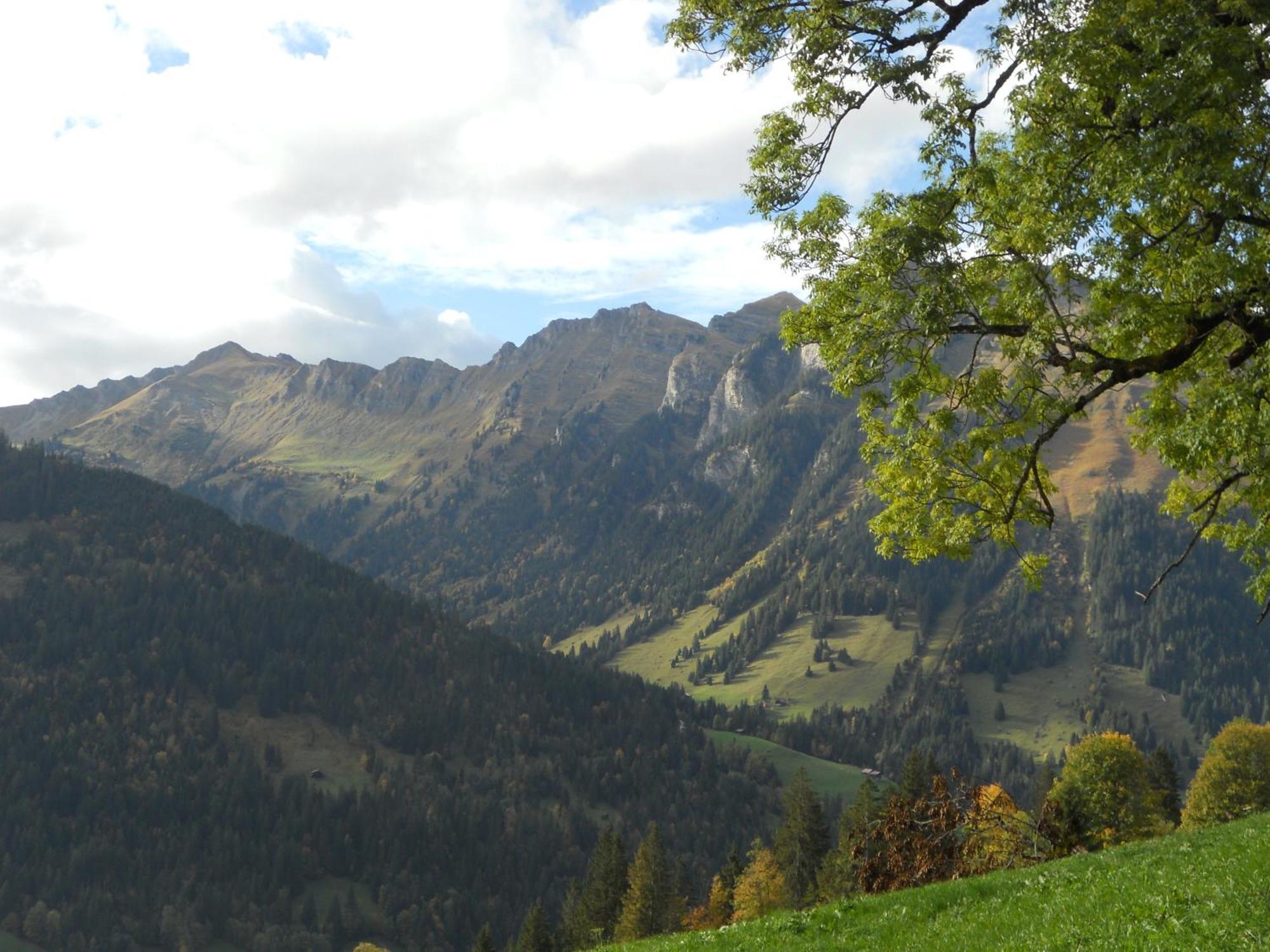 Bauernhaus Gschwend Gsteig Zewnętrze zdjęcie